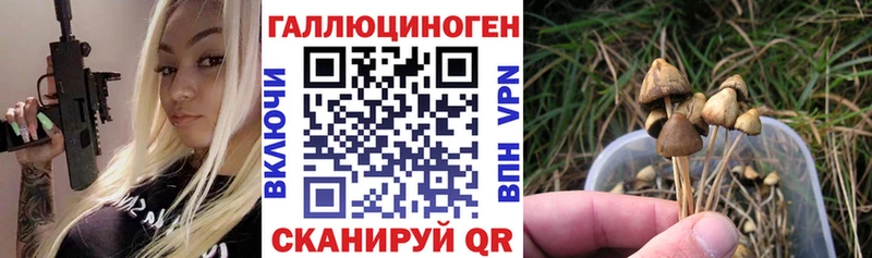 Псилоцибиновые грибы мухоморы  купить   сайты даркнета какой сайт  Боготол 